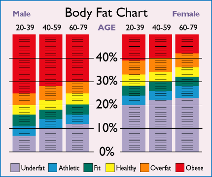 Bodyfat Chart